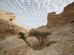 جبل حفيت: بانوراما طبيعية تخطف الأنفاس