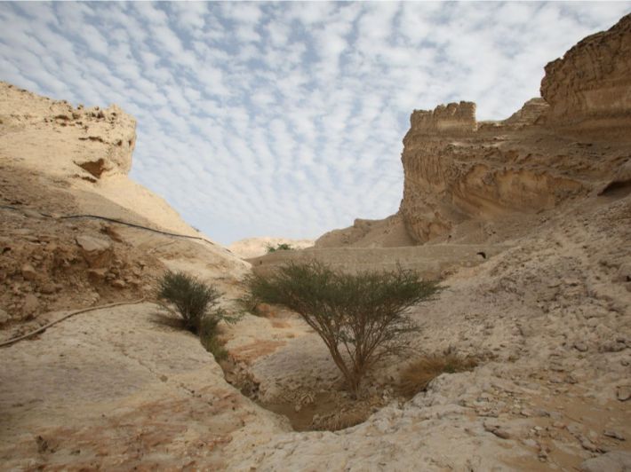 جبل حفيت: بانوراما طبيعية تخطف الأنفاس