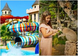 أقوى عروض اليوم الوطني 54 في الإمارات: خصومات حصرية ومميزة