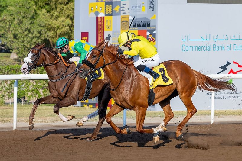 تحديثات سباق الخيل: كأس زايد وراشد يشعل المنافسة في جبل علي