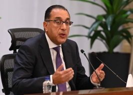 التعاون الاستثماري المصري الإماراتي: شراكة تدعم الاقتصاد