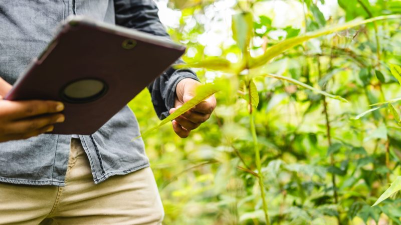 الشارقة.. نموذج عالمي في حماية الحياة البرية بالتكنولوجيا