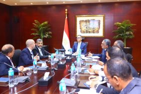 تحليل: الاستثمارات الإماراتية في مصر وآثارها على التنمية