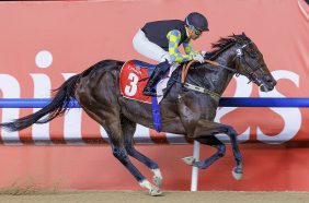 الإثارة والتشويق: كرنفال دبي للسباقات ينطلق نحو الذكرى الثلاثين