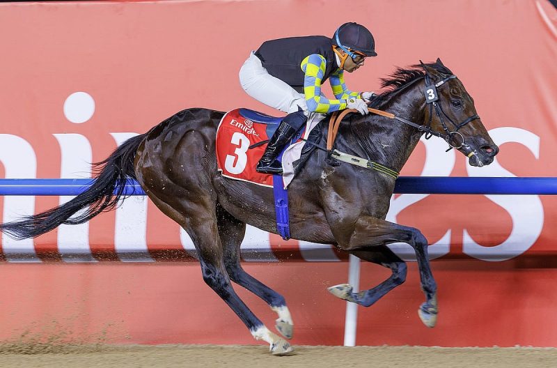 الإثارة والتشويق: كرنفال دبي للسباقات ينطلق نحو الذكرى الثلاثين