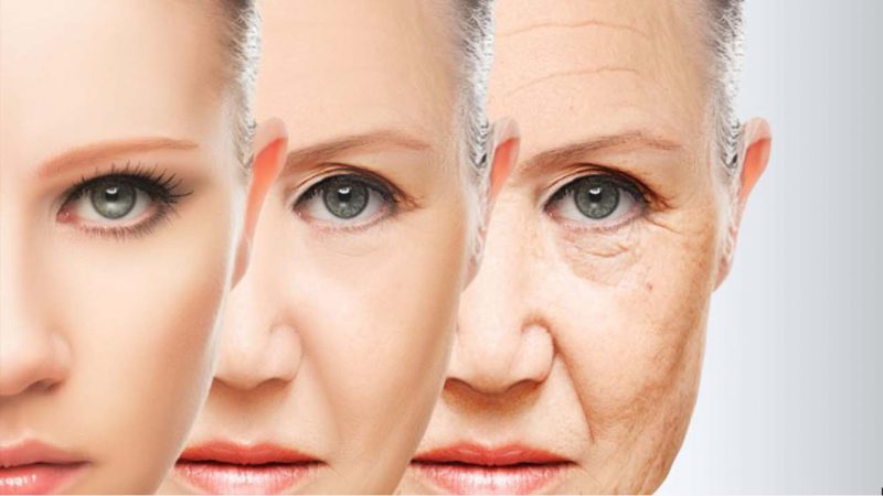 أبطئ الشيخوخة: اكتشف قوة العلاقات الاجتماعية