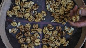 كل ما تود معرفته عن فوائد الجوز: من الوقاية إلى التغذية