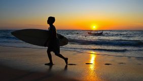 نظرة جديدة: كيف نفهم تفاعل أسماك القرش مع التقنيات الحديثة؟