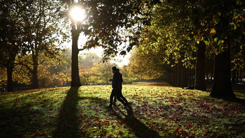 الضوء والمناعة: كيف يساعد ضوء النهار في تعزيز صحتك