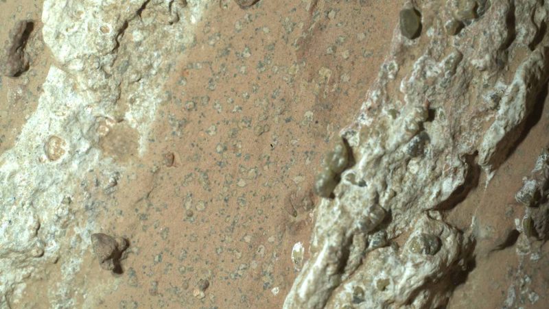 الحياة على المريخ: هل سيغير هذا فهمنا للكون؟