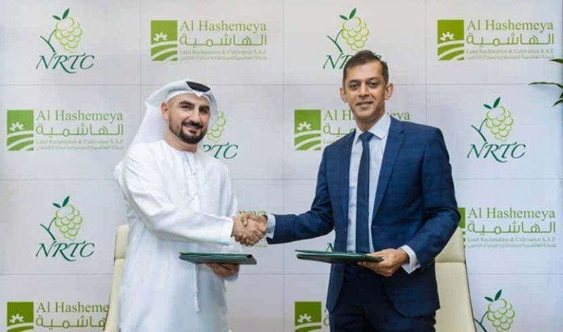 الاستثمار الزراعي الإماراتي في مصر: هل يغير وجه الزراعة؟