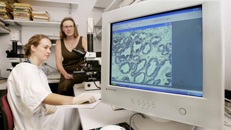 ابتكارات في مكافحة السرطان: من المختبر إلى سرير المريض