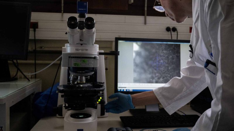 مستقبل العلاج: جزيئات عضوية لمكافحة فيروسات الأورثوبوكس