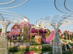 الحدائق في دبي: وجهة مثالية للراحة والاستجمام العائلي