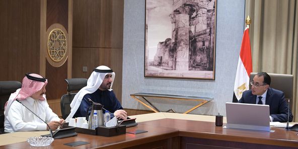 الاستثمار العقاري: شراكة مصرية إماراتية لتعزيز النمو الاقتصادي