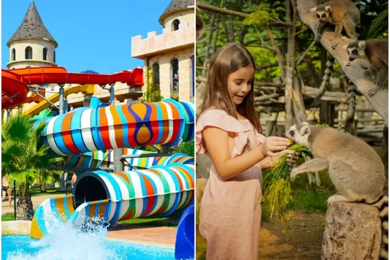 أفضل عروض اليوم الوطني الإماراتي: استمتع بخصومات لا تُنسى