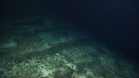 خندق ماريانا: نافذة على أسرار الحياة في البيئات القاسية وأهمية التنوع البيولوجي