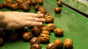 فوائد الجوز: حل طبيعي لتعزيز سرعة التفكير والتركيز