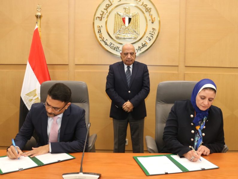 مستقبل الطاقة: مصر والإمارات تستثمران في تقنيات تخزين الطاقة المتجددة