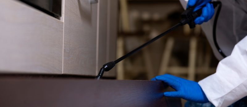 كل ما يهمك عن مكافحة الآفات في دبي