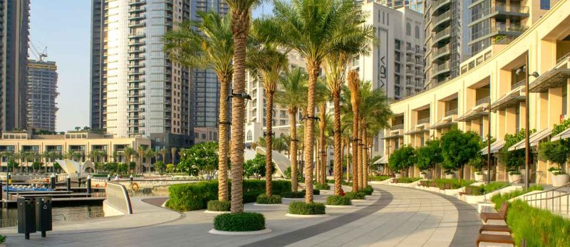 أماكن التنزه في دبي: من الحدائق الخضراء إلى الشواطئ الرملية