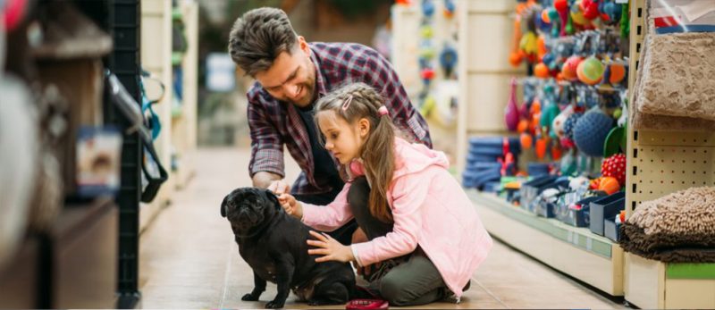 محلات الحيوانات الأليفة في الشارقة: خدمات متكاملة