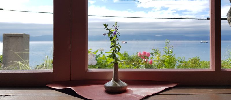 أشكال شبابيك المنازل: جمال وأداء في تصميم واحد