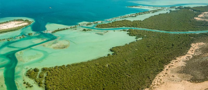 رحلة الكاياك في القرم الشرقي: مغامرة تجمع بين الطبيعة والاسترخاء