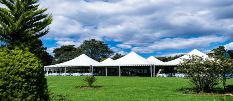 توصيل الكهرباء للخيام في دبي: تحديثات وإرشادات