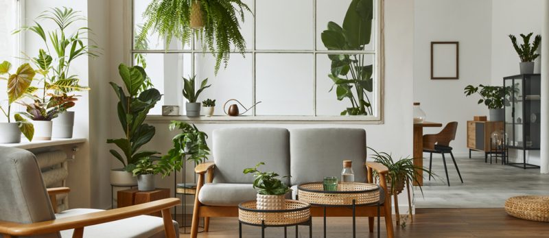 الديكور الاسكندنافي: تاريخ وأبرز المميزات