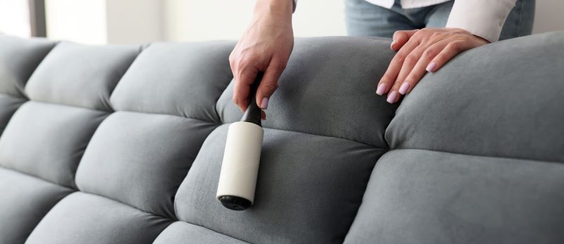 أفضل الطرق لإزالة الوبر من الأثاث والعناية به