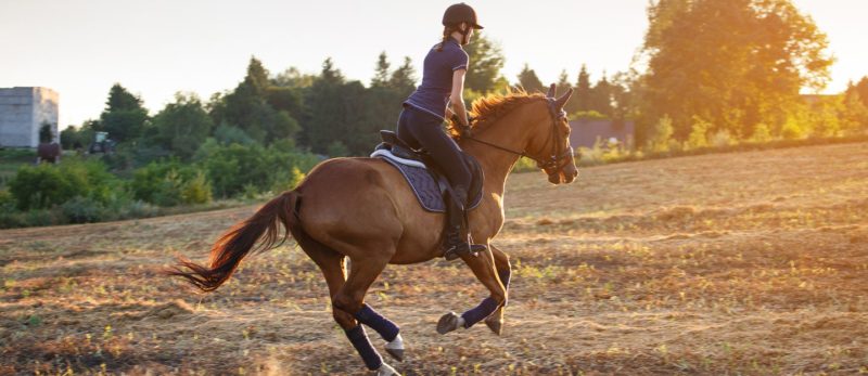 اكتشف أفضل مراكز تعليم ركوب الخيل في دبي لعام 2024