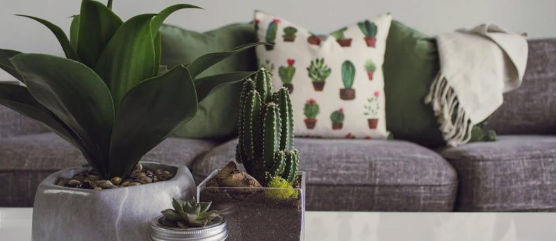 دليل المصمم: تأثيث المنزل بأفكار إبداعية وميزانية محدودة