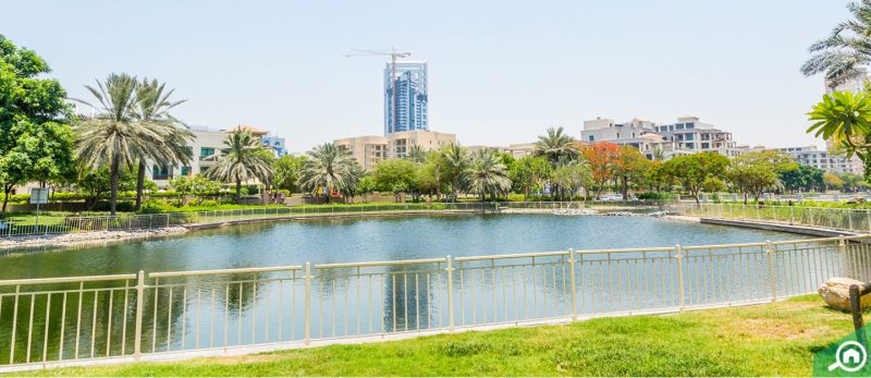 السكن في الروضة دبي: اكتشف نمط الحياة والمرافق المتوفرة