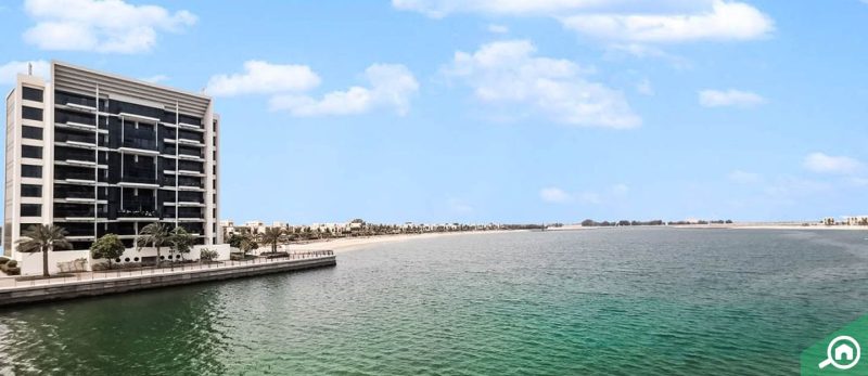 دليل المستأجر والمشتري: السكن في ميناء العرب