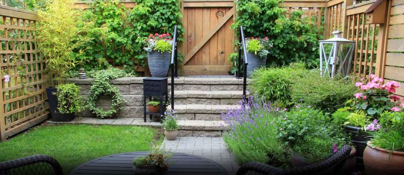 خطوات بسيطة لتنسيق حدائق منزلية أحلامك