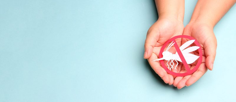 كيفية التخلص من الهسهس: طرق مجربة ونتائج مضمونة