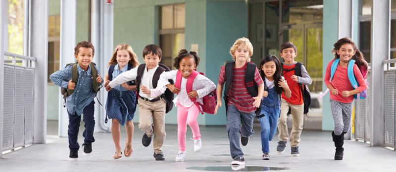 تقييم مدارس الينابيع دبي: ما هي أفضل المدارس حسب رأي الخبراء؟