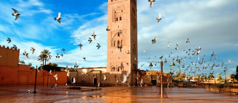 السياحة في المغرب: دليل المسافر لأفضل التجارب والأنشطة