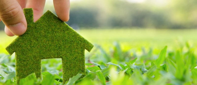العيش المستدام: اجعل منزلك جزءًا من الحل للمستقبل