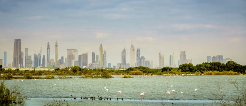 السكن في رأس الخور: هل يناسبك؟ اكتشف الآن