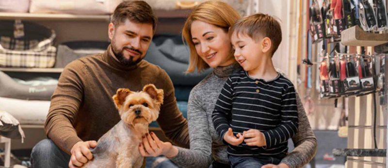 كيف تساهم في مجتمع آمن للحيوانات بتسجيل حيوانك الأليف في دبي؟