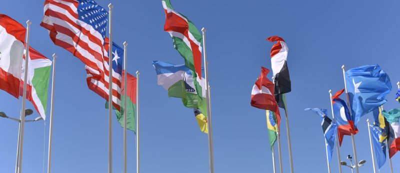 كل ما تود معرفته عن القنصليات في دبي: دليل شامل 2024