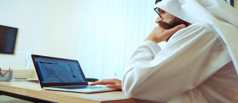 العمل في القطاع الحكومي في الإمارات: نظرة شاملة