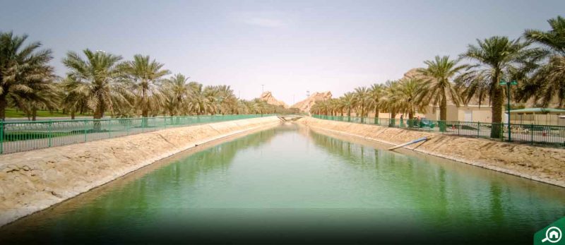 السكن في الطوية: اكتشف الحياة العصرية في العين