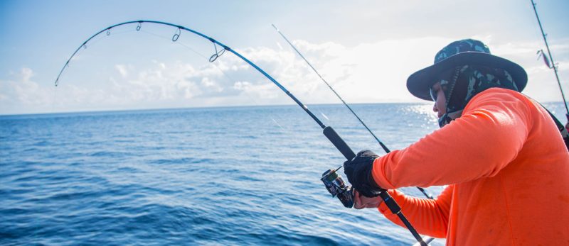 الصيد في أبوظبي: دليل شامل للأنواع، الأماكن، والتجهيزات