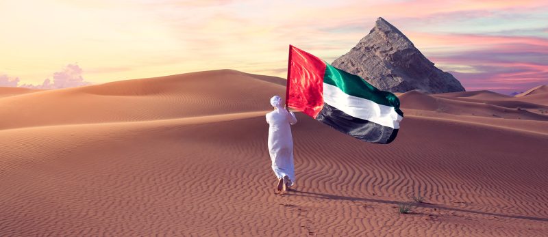 دليل شامل: وثيقة مبادئ الخمسين وأثرها على مستقبل الإمارات