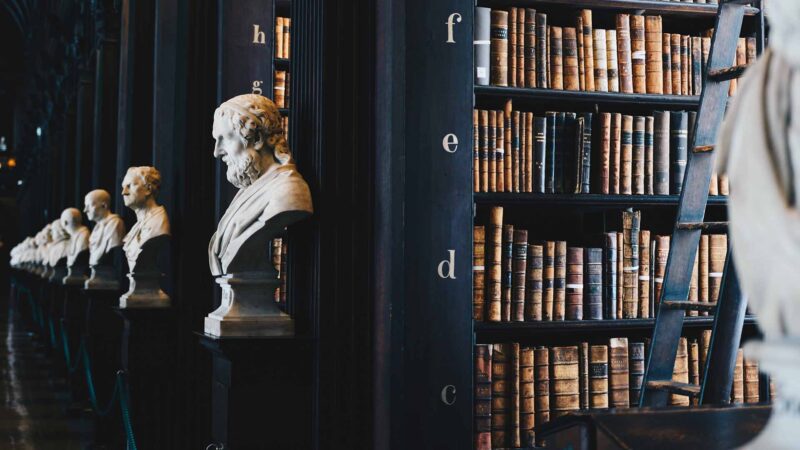 حماية المجتمع: الجرائم الجنائية في القانون الإماراتي