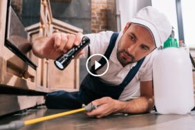 مكافحة الآفات المنزلية: من الصراصير إلى الفئران، حلول لكل مشكلة