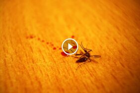 لماذا تختار المجد الإماراتية؟ ضمان رضا العملاء يوضح السبب